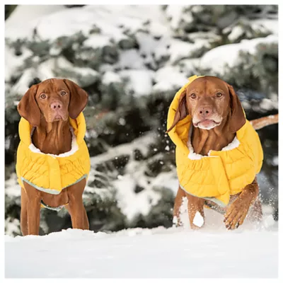 GF PET® Elasto-fit® Arctic Dog Coat - Image 5