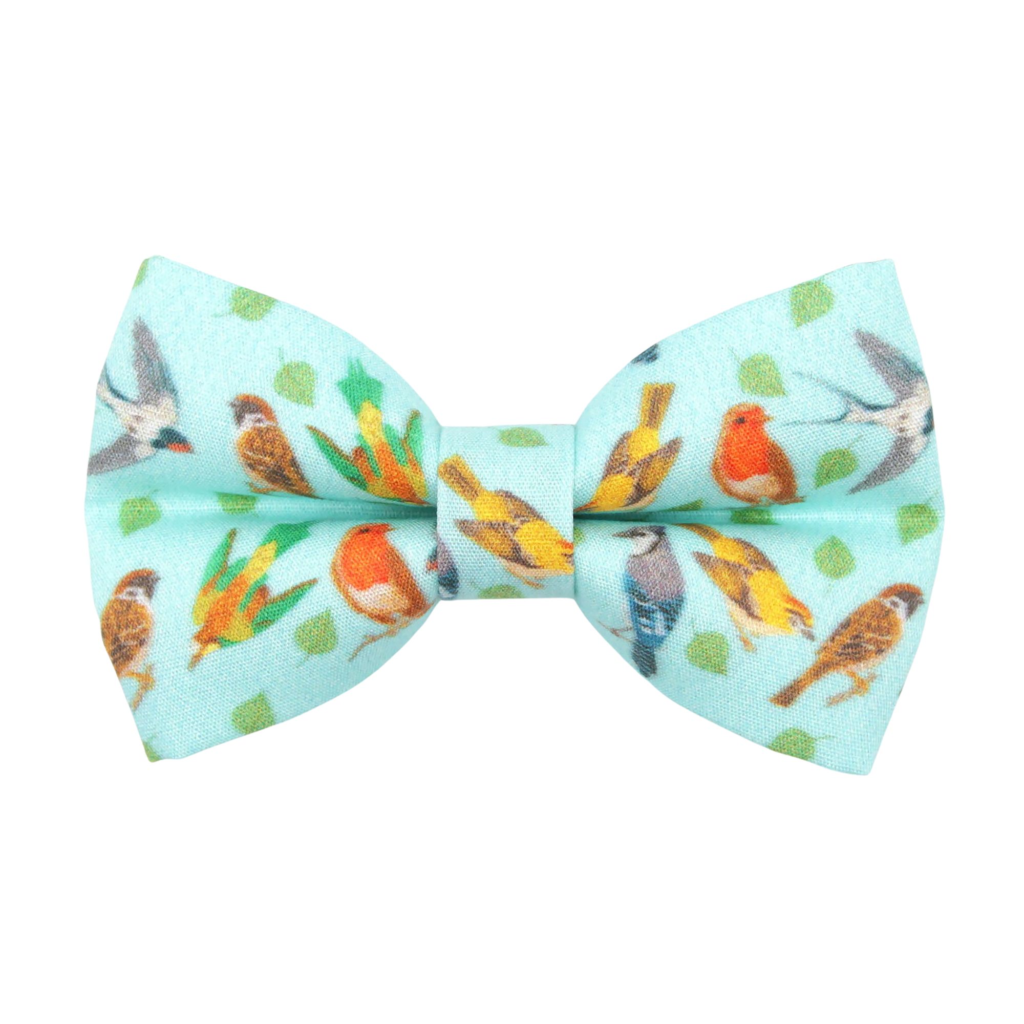 Petsmart bow tie best sale