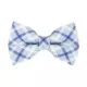 Product Made By Cleo® Skye Blue Plaid Cat Bow Tie