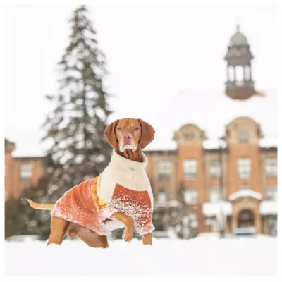 Product GF PET® Fireside Dog Sweater