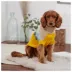 GF PET® Fireside Dog Sweater image thumbnail 4