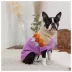 GF PET® Fireside Dog Sweater image thumbnail 4