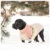 GF PET® Fireside Dog Sweater image thumbnail 5