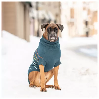 Product GF PET® Arctic Dog Sweater