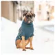 Product GF PET® Arctic Dog Sweater