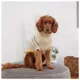 Product GF PET® Arctic Dog Sweater