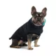 Product GF PET® Elasto-fit® Reversible Chalet Dog Jacket