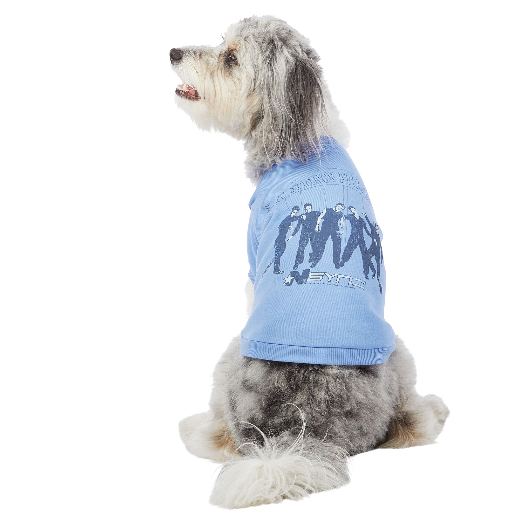 Petsmart dog hot sale shirts