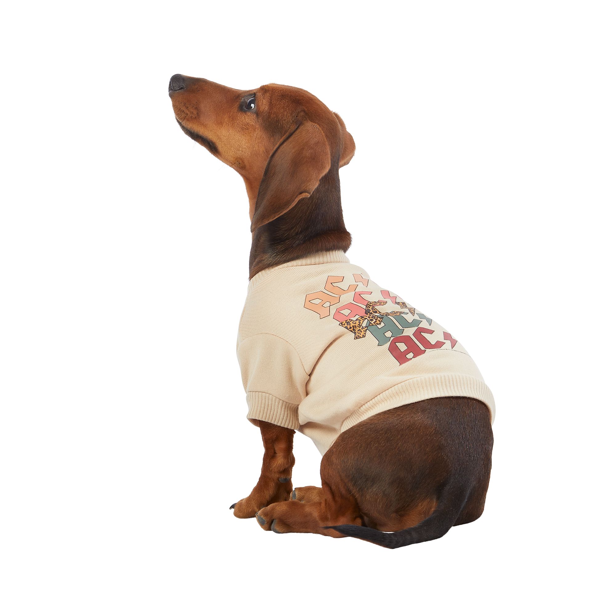 Blended Clothing Collection AC/DC Dog Crew Neck Sweatshirt dog T