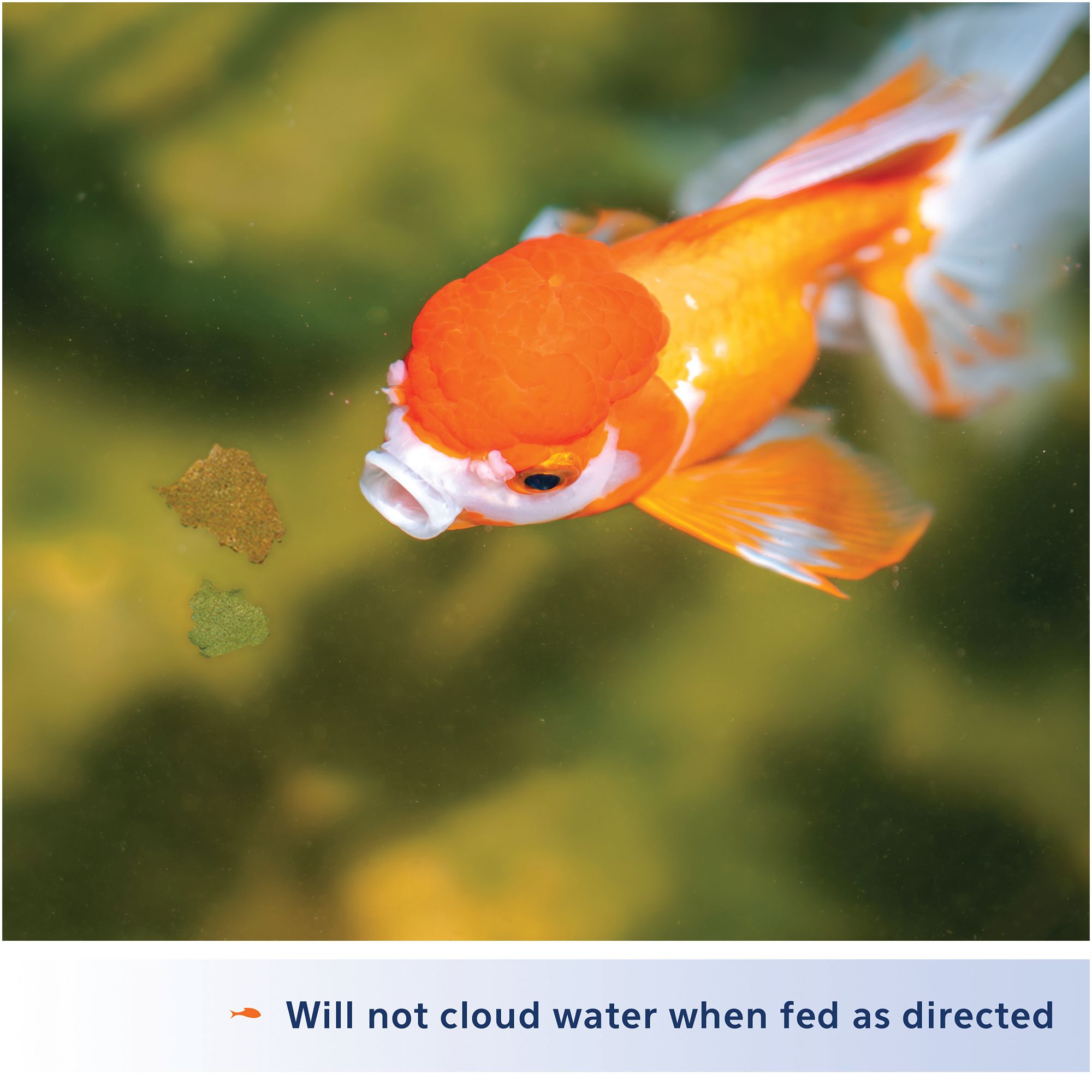 Aqueon® Goldfish Flakes Fish Food Complete Diet - thumbnail 4