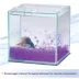 Aqueon® Betta Beads image thumbnail 5