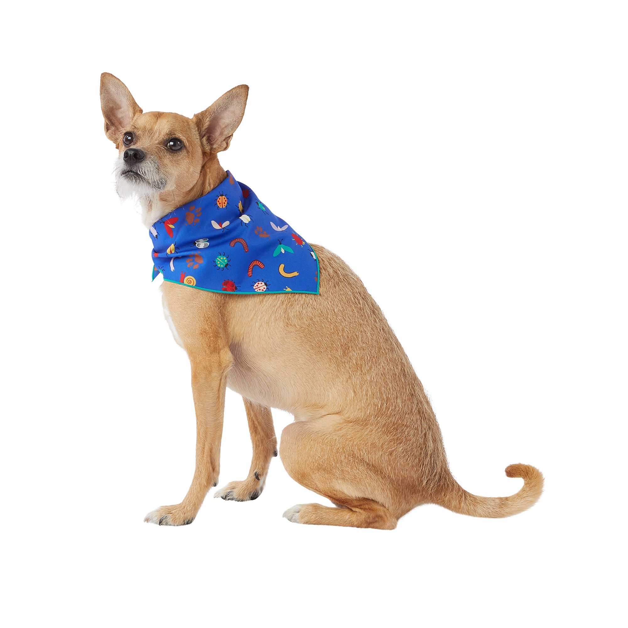 Petsmart on sale dog bandanas