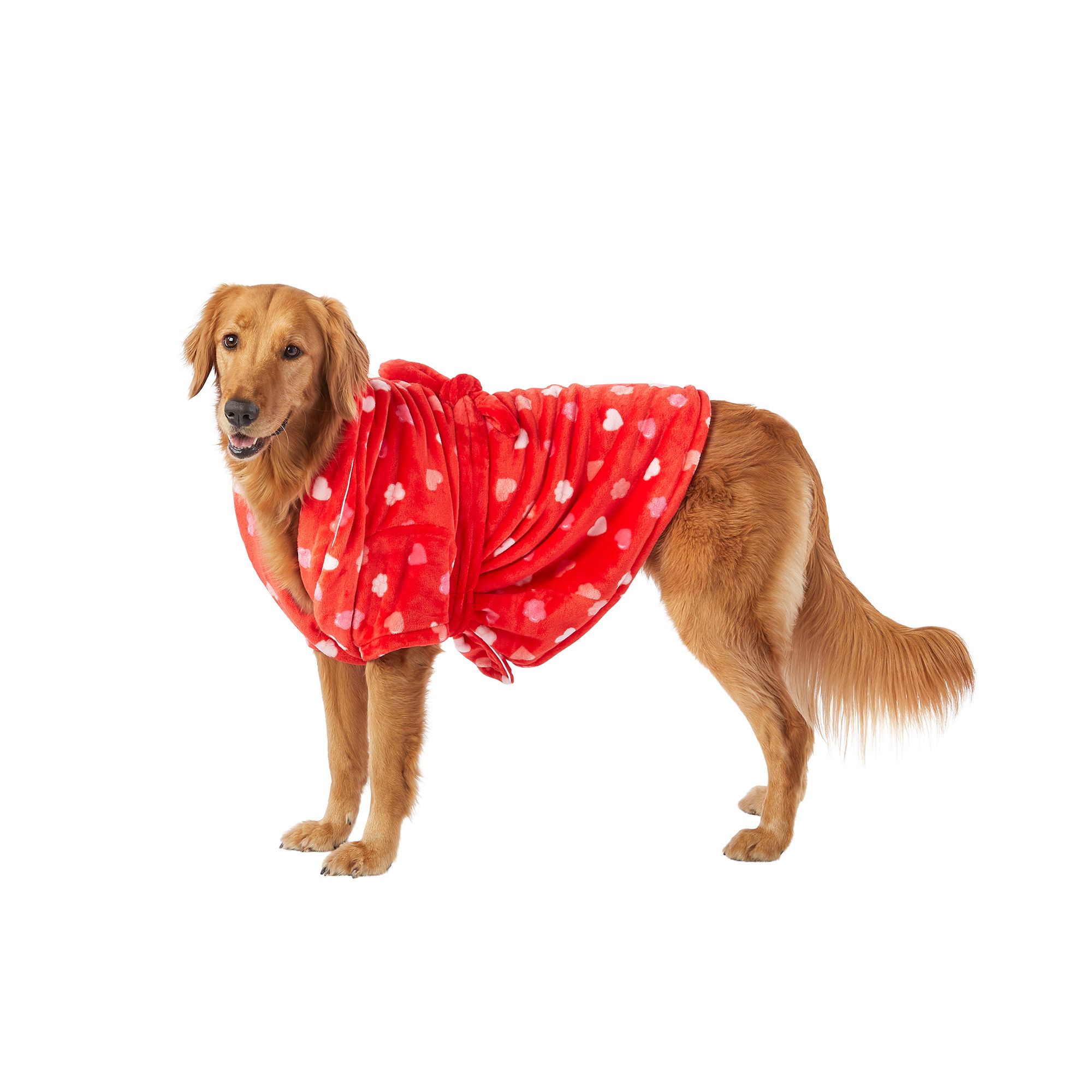 Petsmart dog clothes outlet clearance