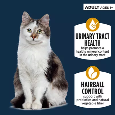 Product Authority Urinary Tract Heath & Hairball Control Adult Cat Food - Pate, 3 OZ