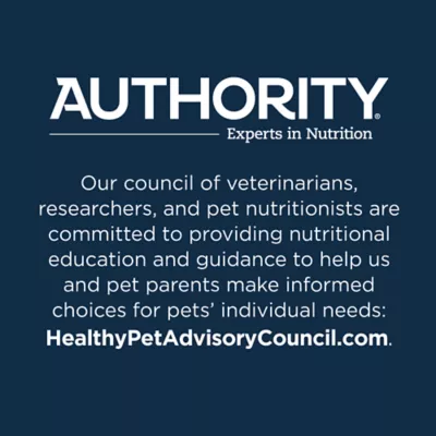Product Authority Urinary Tract Heath & Hairball Control Adult Cat Food - Pate, 3 OZ