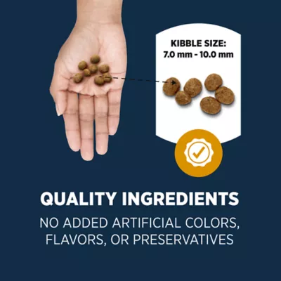 Product Authority Urinary Tract Health & Hairball Control Adult Cat Food - Chicken