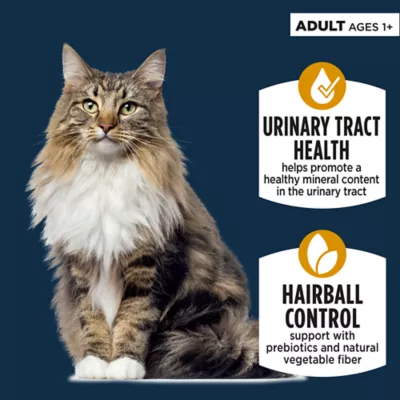 Authority Urinary Tract Health & Hairball Control Adult Cat Food - Chicken - Image 2