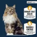 Authority Urinary Tract Health & Hairball Control Adult Cat Food - Chicken image thumbnail 2
