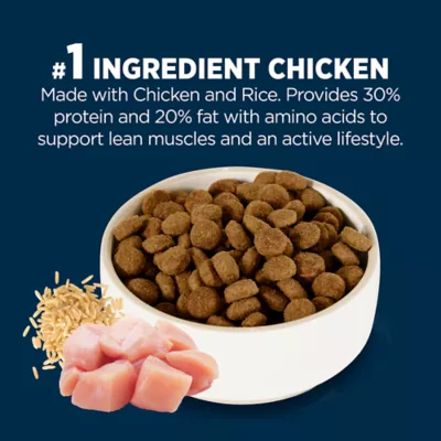 Product Authority Everyday Health High Performance All Life Stages Dry Dog Food - Chicken & Rice