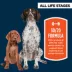 Authority Everyday Health High Performance All Life Stages Dry Dog Food - Chicken & Rice image thumbnail 3