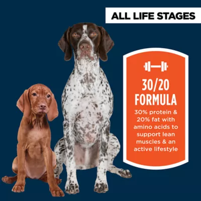 Authority Everyday Health High Performance All Life Stages Dry Dog Food - Chicken & Rice - Image 3