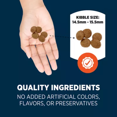 Authority Everyday Health High Performance All Life Stages Dry Dog Food - Chicken & Rice - Image 5