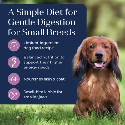 Product Blue Buffalo Basics Skin & Stomach Care Small Breed Adult Dog Food - Turkey