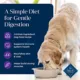 Product Blue Buffalo Basics Skin & Stomach Care Adult Dog Food - Turkey