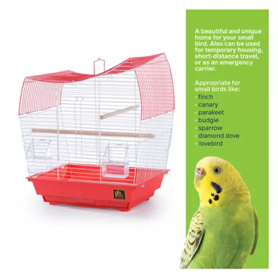 Product Prevue Pet Products South Beach Dome Top Bird Cage Coral