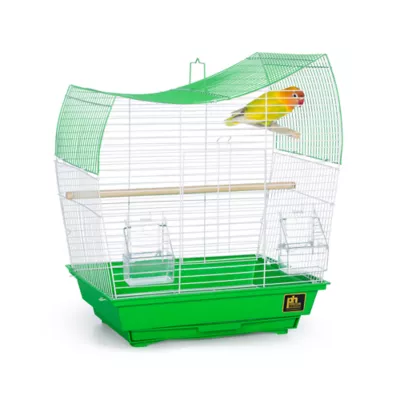 Product Prevue Pet Products South Beach Wave Top Bird Cage Lime Green