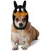 Rubie's Pet Shop Halloween Kidrobot Labbit Black Pet Headpiece image thumbnail 1