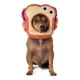 Product Rubie's Pet Shop Halloween Kidrobot Yummy World PB&J Face Headpiece Pet Accessory