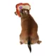 Product Rubie's Pet Shop Halloween Kidrobot Yummy World PB&J Face Headpiece Pet Accessory