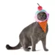 Product Rubie's Pet Shop Halloween Kidrobot Yummy World Ice Cream Waffle Cone Headpiece Pet Accessory