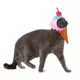 Product Rubie's Pet Shop Halloween Kidrobot Yummy World Ice Cream Waffle Cone Headpiece Pet Accessory