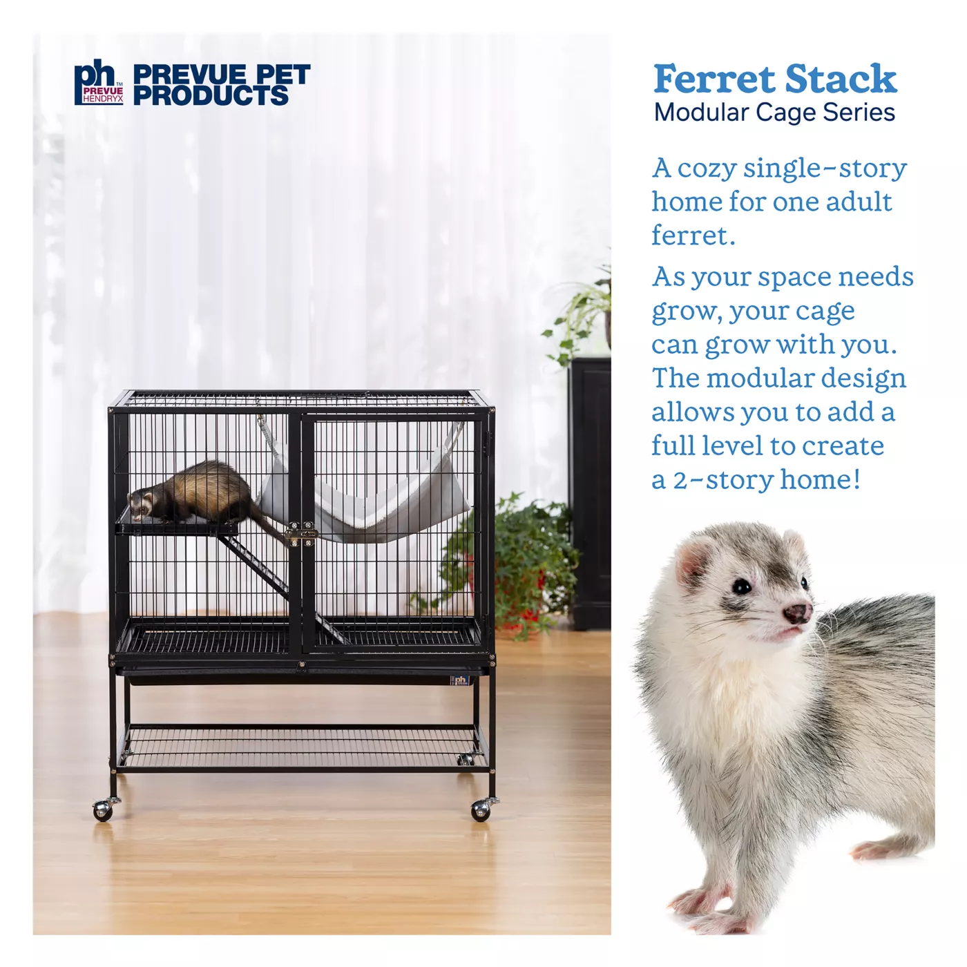 How big should a cage be for 1 ferret best sale