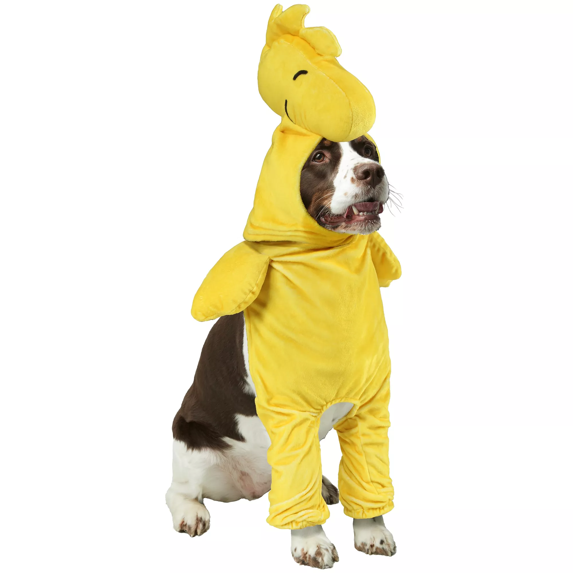 Rubie's Pet Shop Halloween Peanuts Woodstock Dog & Cat Costume