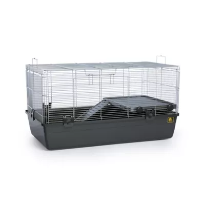 Pets at home hamster heaven best sale