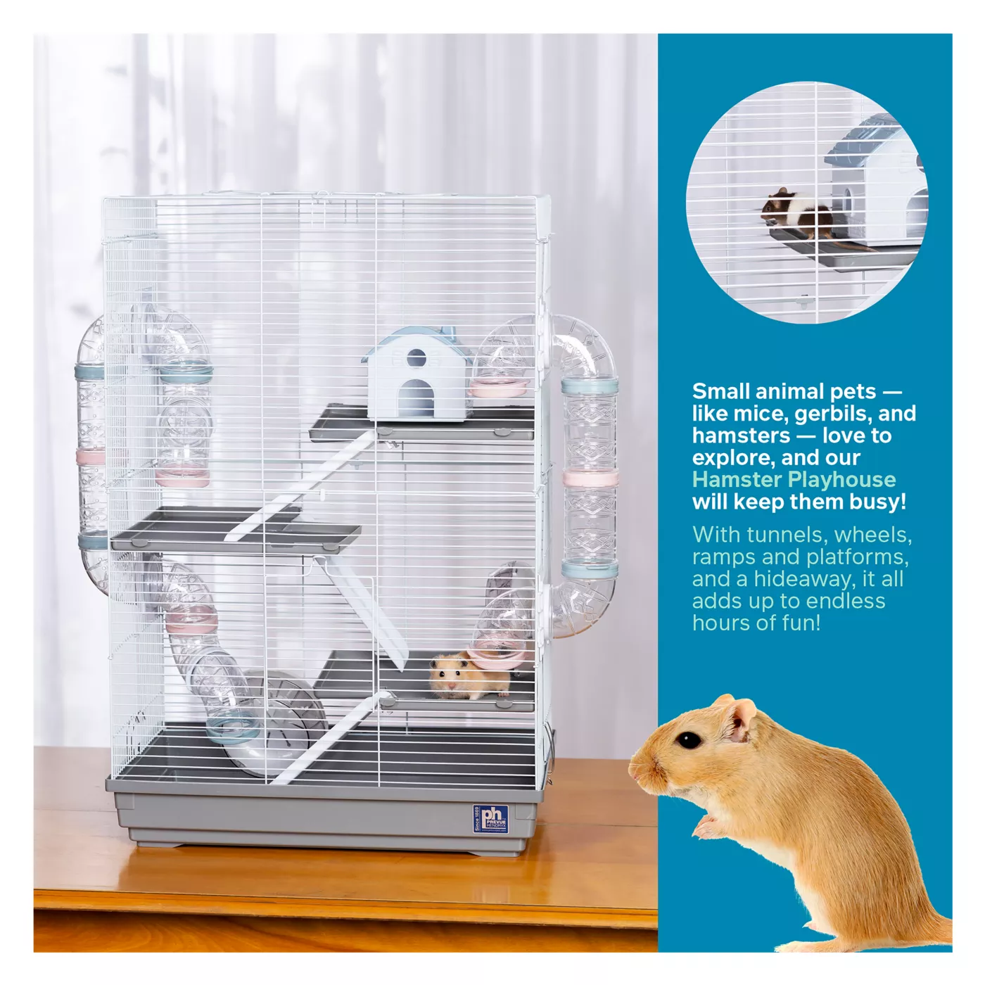 Petsmart shops small pet cages