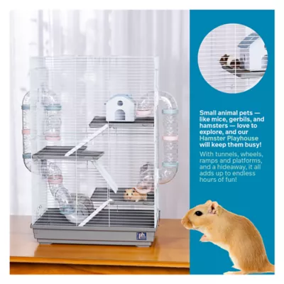 Pet hamster supplies for sale best sale