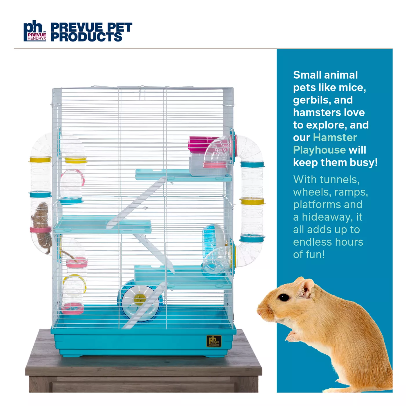 Gerbil cages petsmart best sale