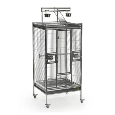 Product Prevue Pet Products Medium Stainless Steel Playtop Bird Cage
