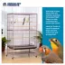 Prevue Pet Products Wrought Iron Flight Cage with Stand image thumbnail 2