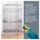 Product Prevue Pet Products Imperial Stainless Bird Cage