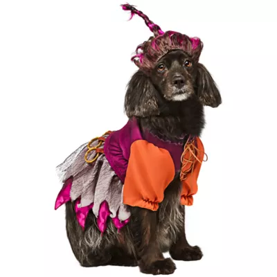 Rubie's Pet Shop Halloween Hocus Pocus Mary Sanderson Dog & Cat Costume - Image 1