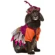 Product Rubie's Pet Shop Halloween Hocus Pocus Mary Sanderson Dog & Cat Costume