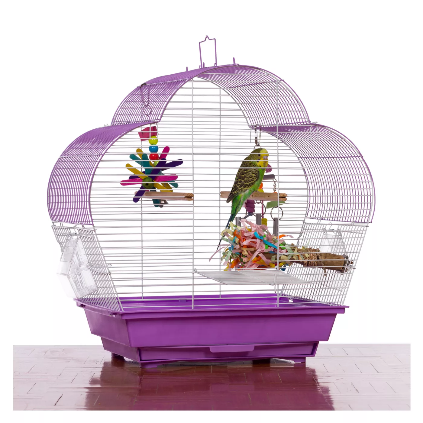 Budgies fashion cage