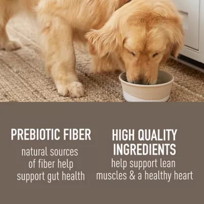 Product Simply Nourish Gut Health Recipe Adult Dog Food - Chicken & Pumpkin, 10 OZ