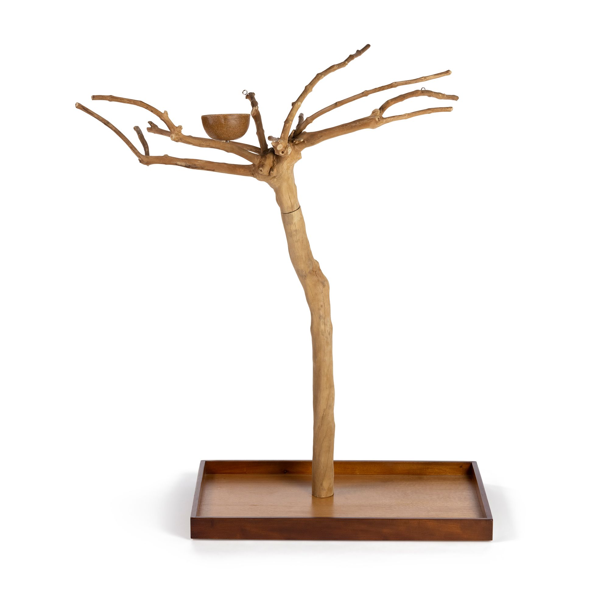 Prevue Pet Products Coffeawood Java Tree Extra-Small Floor Playstand - Pet Bird Playstand - thumbnail 2