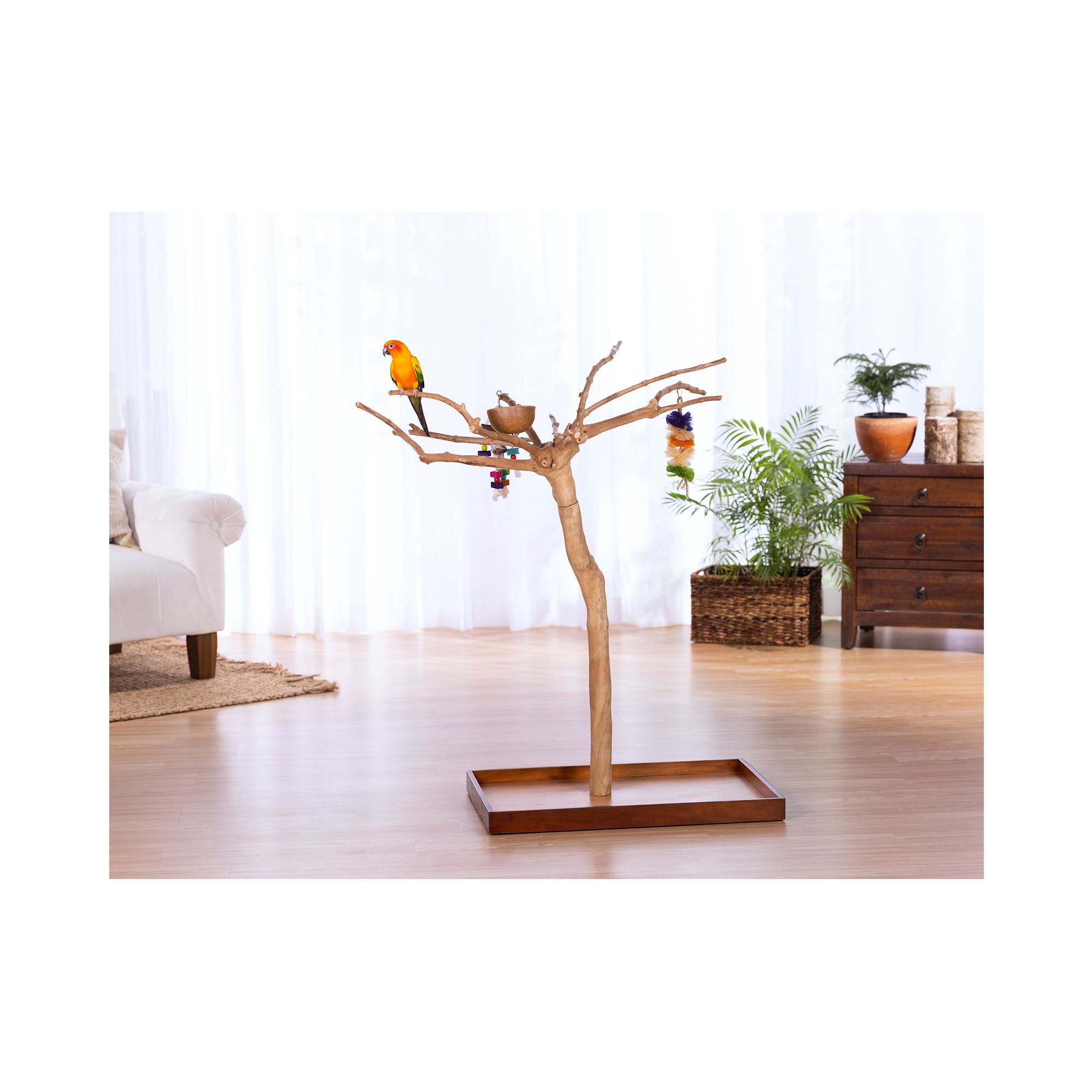 Prevue Pet Products Coffeawood Java Tree Extra-Small Floor Playstand - Pet Bird Playstand - thumbnail 4